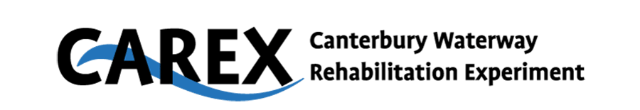 CAREX Logo