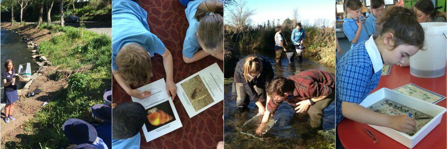 School Students using Biodiversity Teaching Resource.