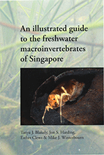 An Illustrated Guide to the Freshwater Macroinvertebrates of Singapore