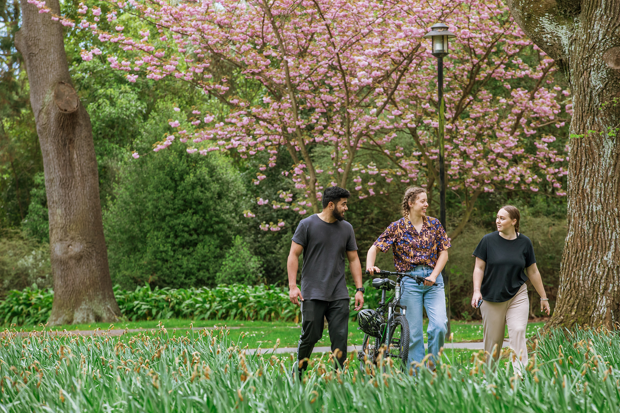 Three students walking and talking in the Ilam Gardens on UC campus.