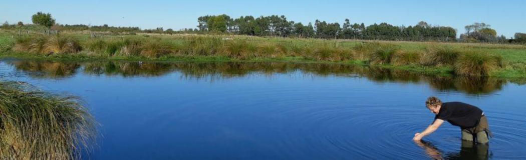 Wananga landing