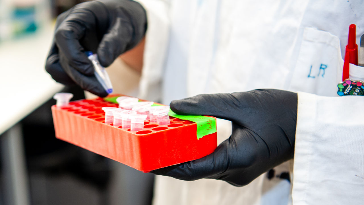 Researcher holding a rack of eppendorf tubes containing biological spamples