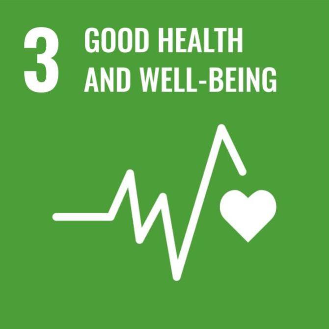 sdg 3