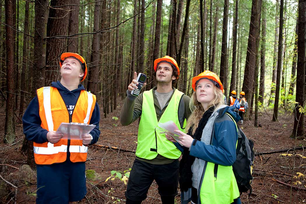 UC Forestry Science students on a field trip examining trees.